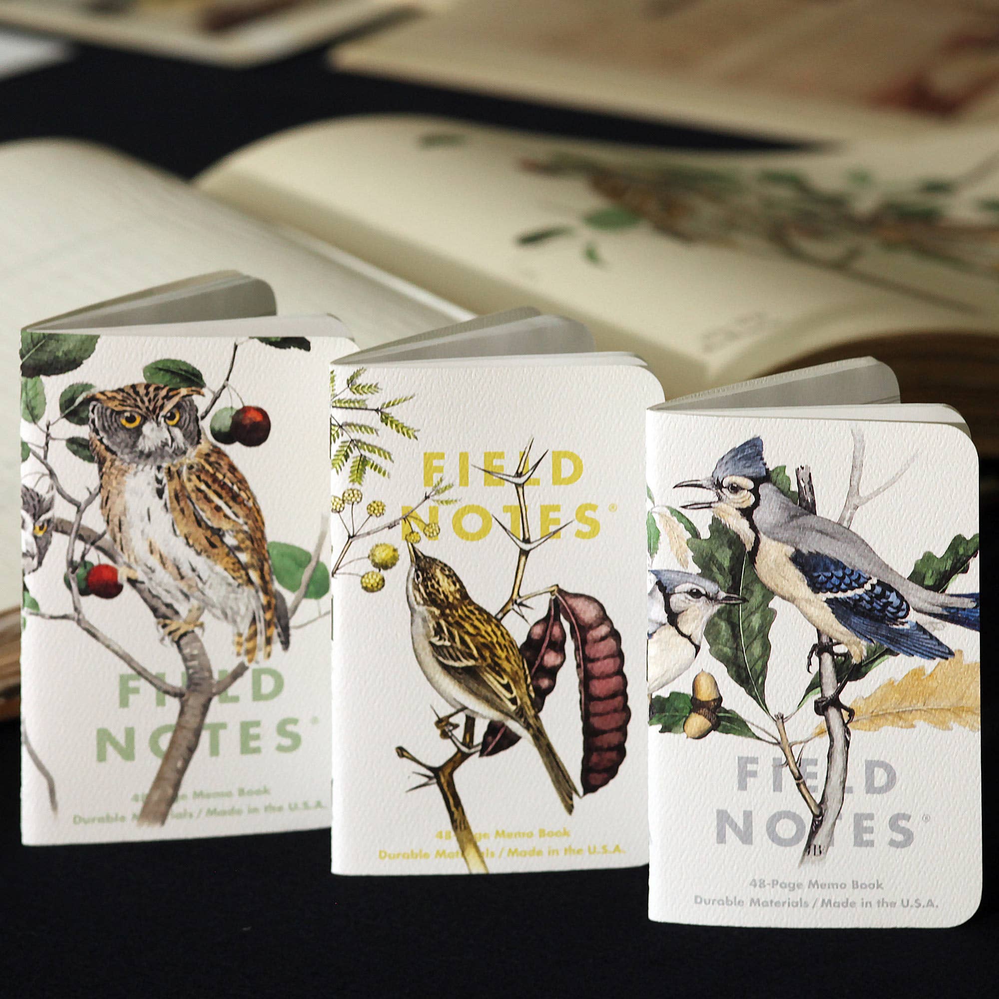 Birds and Trees of North America | Field Notes